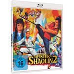 Film: Meister der Shaolin 2