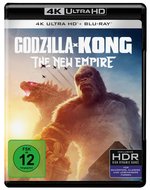 Film: Godzilla x Kong: The New Empire