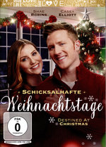 Film: Schicksalhafte Weihnachtstage - Destined At Chri