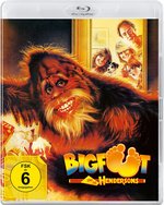 Film: Bigfoot und die Hendersons