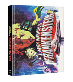 Film: Andy Warhols Frankenstein