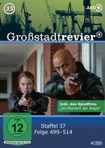 Film: Großstadtrevier 33 - Folge 499-514 (Staffel 37)