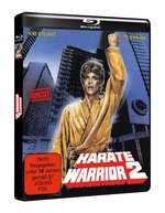 Film: Karate Warrior 2