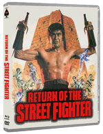 Film: Return of the Street Fighter
