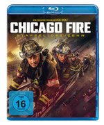 Film: Chicago Fire - Staffel 13