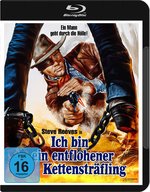 Film: Ich bin ein entflohener Kettensträfling