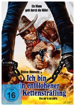 Film: Ich bin ein entflohener Kettensträfling