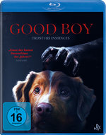 Film: Good Boy - Trust his instincts