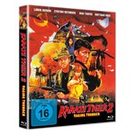 Film: Karate Tiger 2