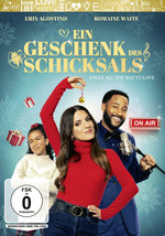 Film: Ein Geschenk des Schicksals - Jingle All the Way
