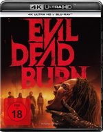 Film: Evil Dead Burn